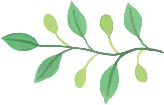 六种茶叶入门方法,茶叶叶底的秘密