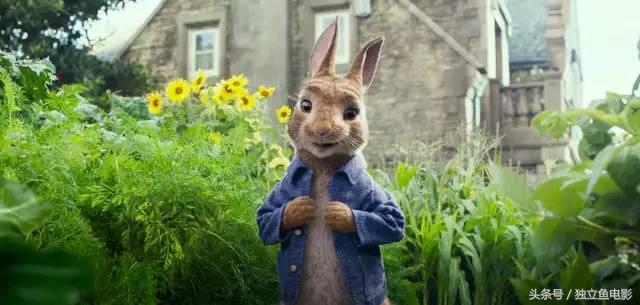 2月拍的视频,2月大片