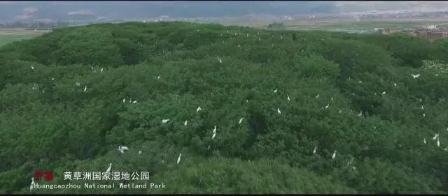 芳华的取景地云南蒙自,云南蒙自市芳华拍摄地