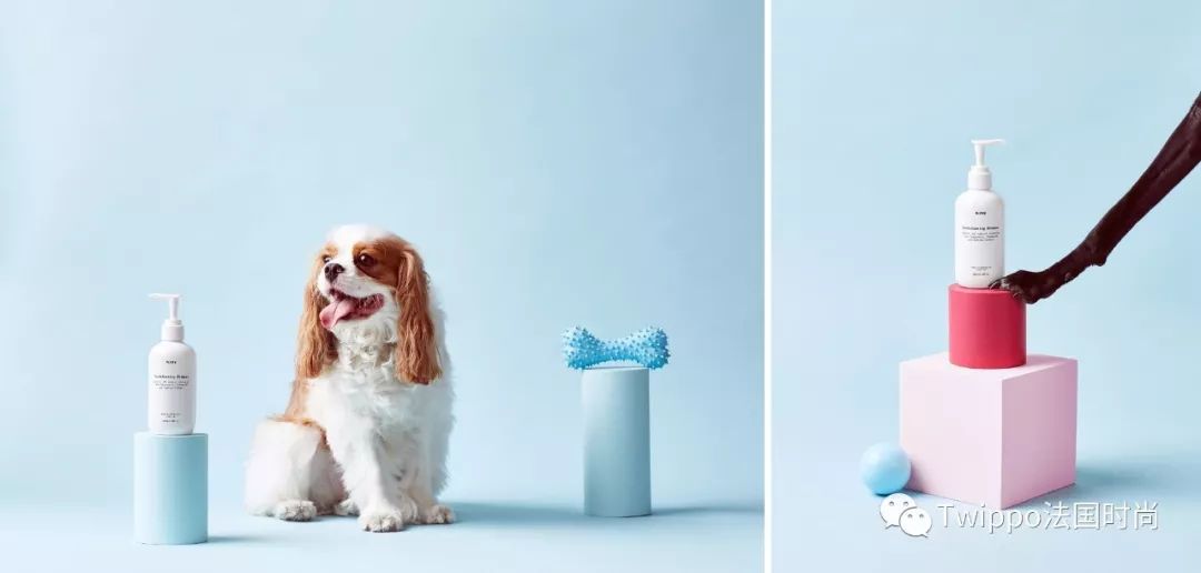 吐槽完了狗年单品，你给你的狗主子买了什么？