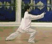 太极二十四式入门基本动作,太极入门学24式吗