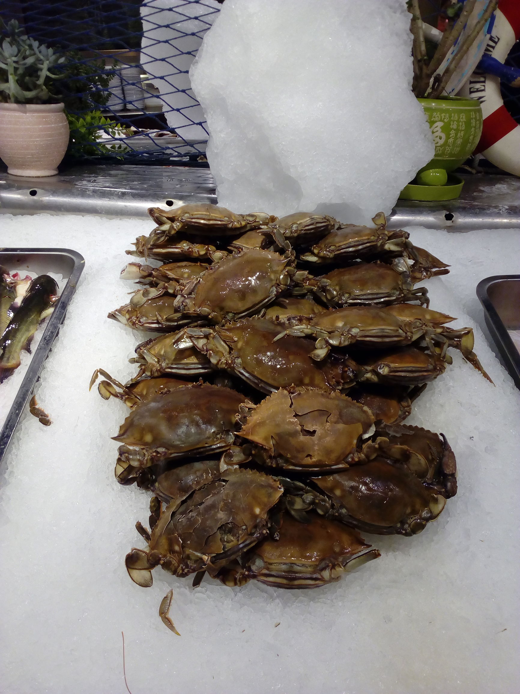乌鲁木齐价格实惠的自助餐,乌鲁木齐口碑最好的自助餐