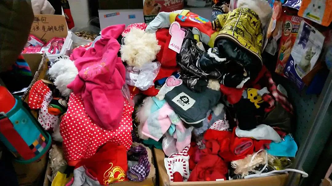 北京：大爷大妈和老狗狗们的幸福生活