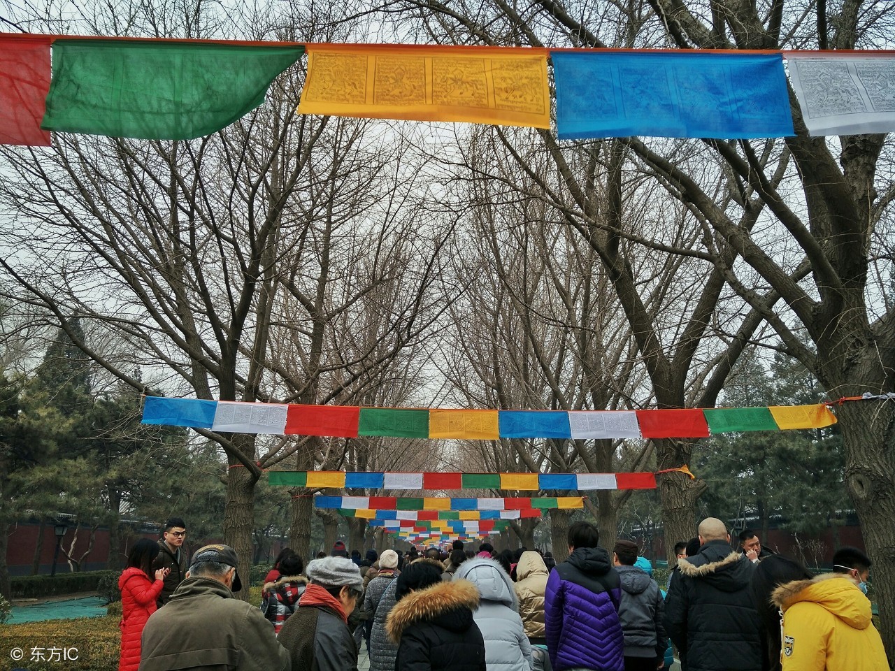 她烧的香，被人拔了，会影响她今年的运势吗？