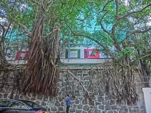 现实中的香港什么样,香港的真实社会