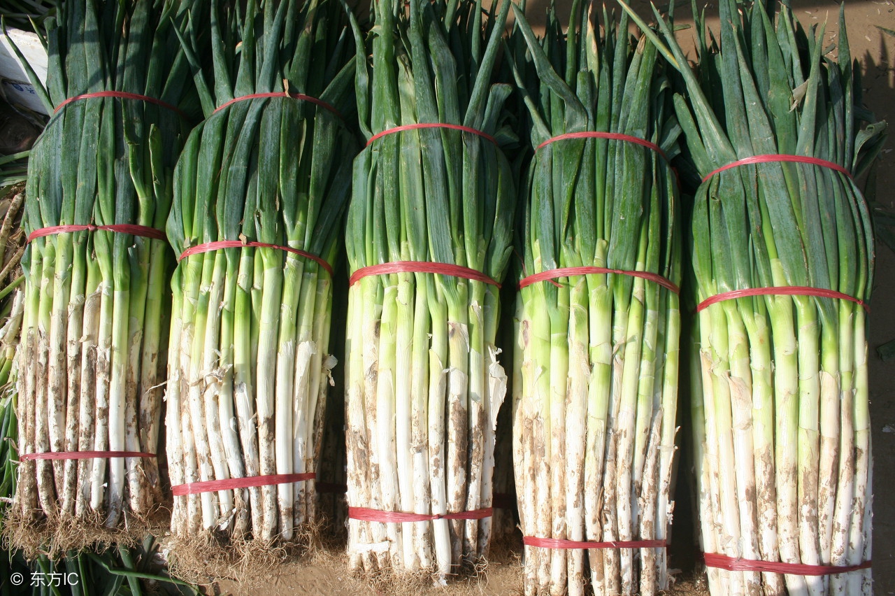 重庆特产小吃十大名单,特产小吃排行榜前十名