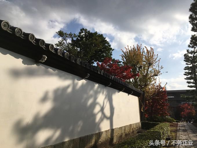 旅行|CoordinateBook06-No.535.0116°N,135.7680°E京都