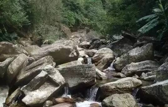 武鸣要撤区建市吗,武鸣未来发展规划