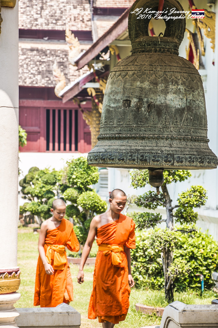 清迈佛寺之城等你采撷的泰北玫瑰,清迈环球旅行家