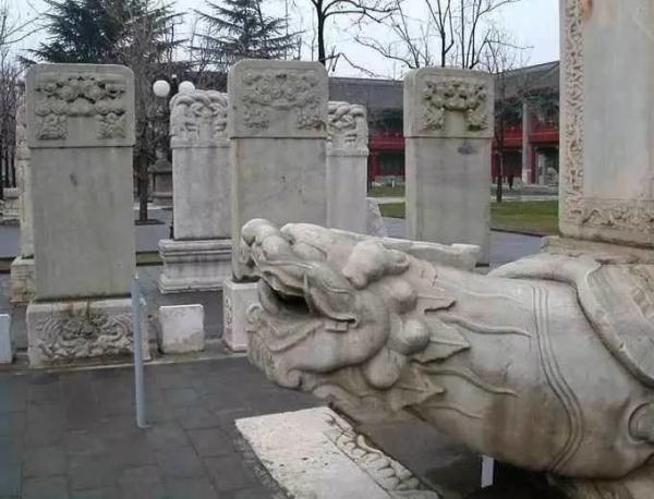 龙有几个龙爪,龙有九子分别长什么样子