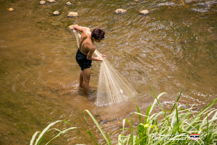 清迈佛寺之城等你采撷的泰北玫瑰,清迈环球旅行家