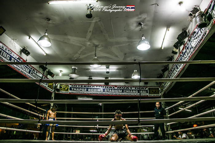 清迈佛寺之城等你采撷的泰北玫瑰,清迈环球旅行家