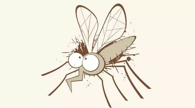 食用小苏打放在肉里起到什么作用,小苏打在水产养殖中的作用和功效