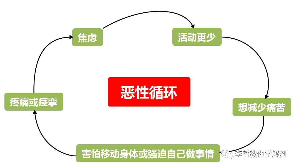 骨盆筋膜疼痛,骨盆痛加腹部痛是怎么回事