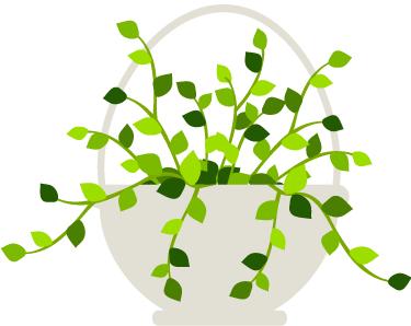 胰岛素笔推药的坏了怎么维修,胰岛素笔坏了怎么补救