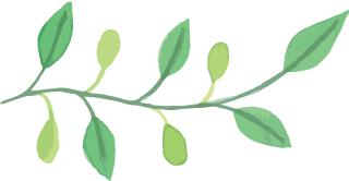 贵州恒丰最新外援消息,贵州恒丰2021引进球员