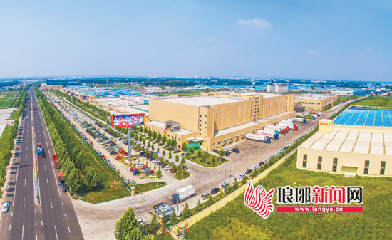 临沂金锣集团：坚持强化科技创新助推企业发展