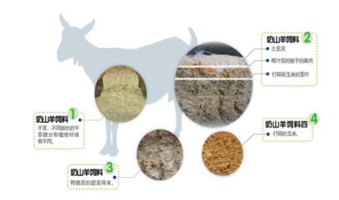 羊奶粉佳贝艾特正品,佳贝艾特悦白羊奶粉原装进口