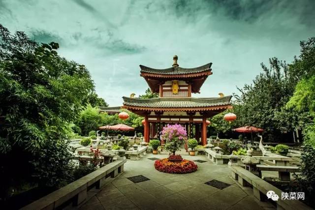 舌尖上的中国3陕西篇,舌尖上的中国3回坊水盆羊肉