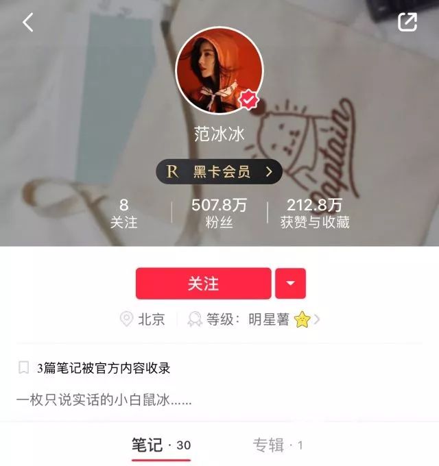范冰冰抄袭蕾哈娜牌子吗,范冰冰代言美妆