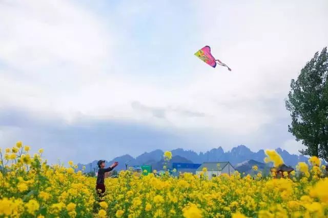狼牙山龙门湖水上乐园闭园,狼牙山田园花海闭园时间