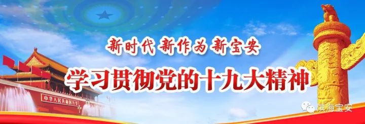 深圳沙井新城发展规划,沙井核心区规划图