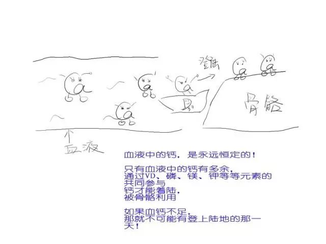 给宝宝补钙这四条建议请收下,宝宝补钙的十大常见问题