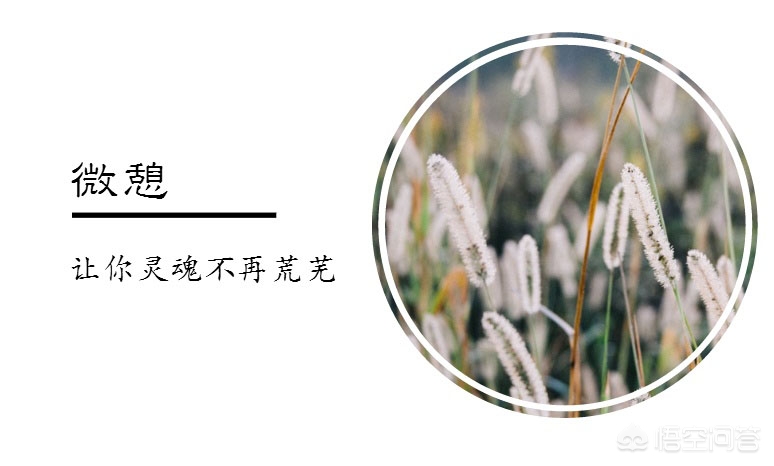 怎样才招到优秀的员工,如何招聘忠诚度高的人