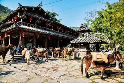 云南过大年,云南过大年怎么样的