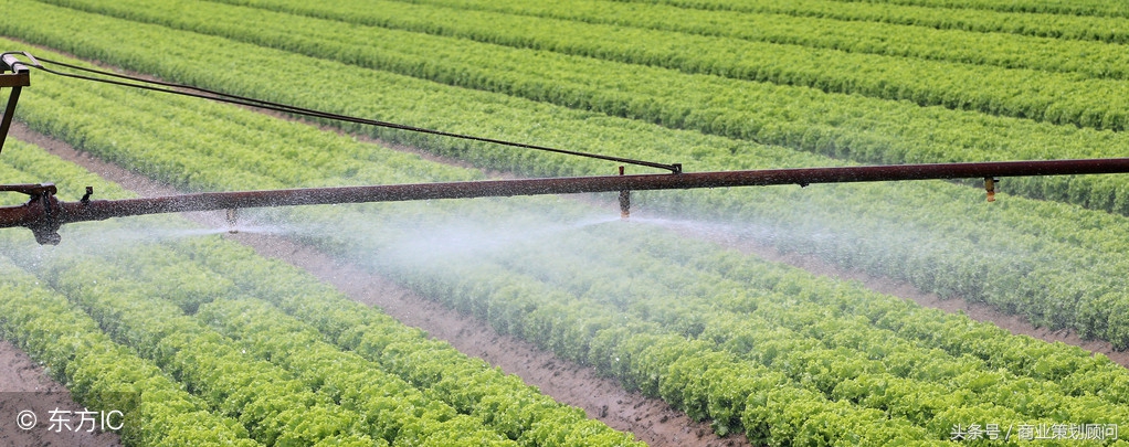 2020年回乡创业好项目,返乡创业有哪些热门项目