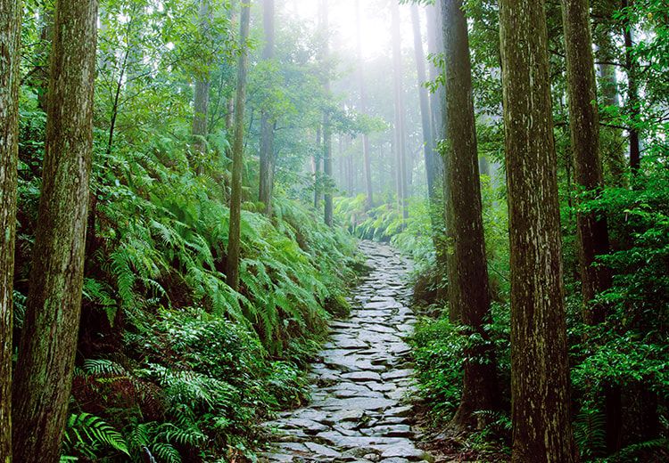 小众旅行目的地国外,热衷于寻找这些小众旅行目的地