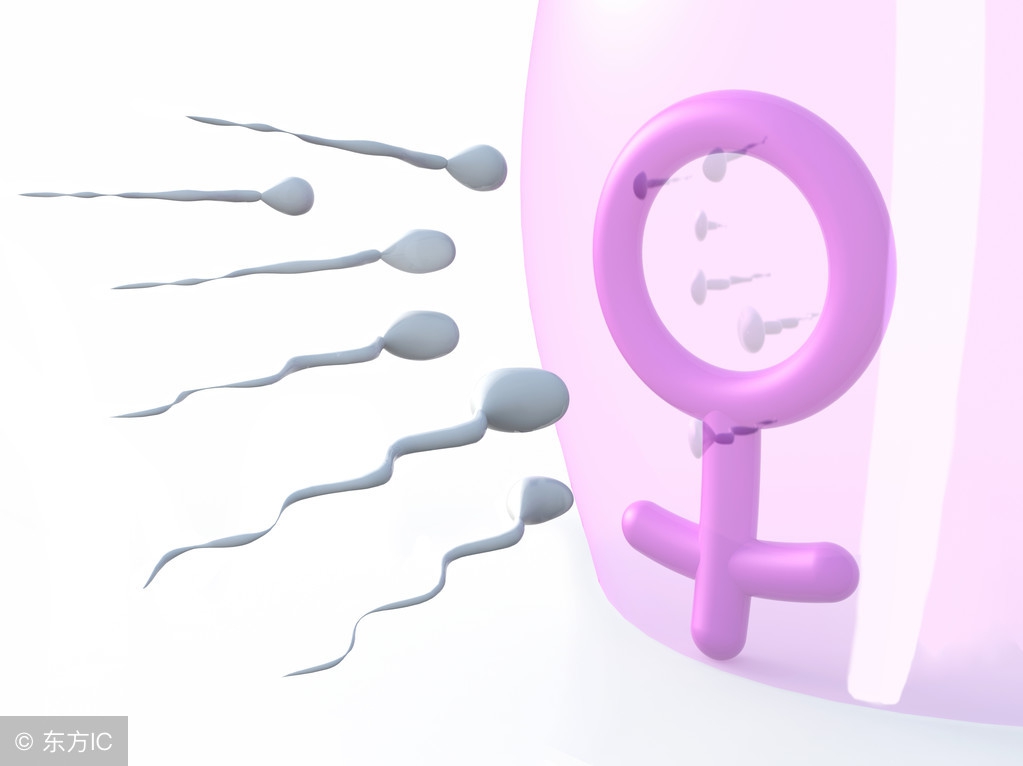 解密！生男生女几率各一半？这其实是个错误的认识！