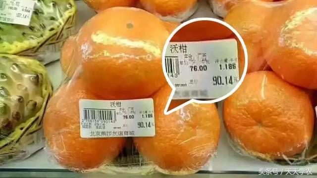 柑橘春季防治红蜘蛛的最佳时间,柑橘清园红蜘蛛如何消灭