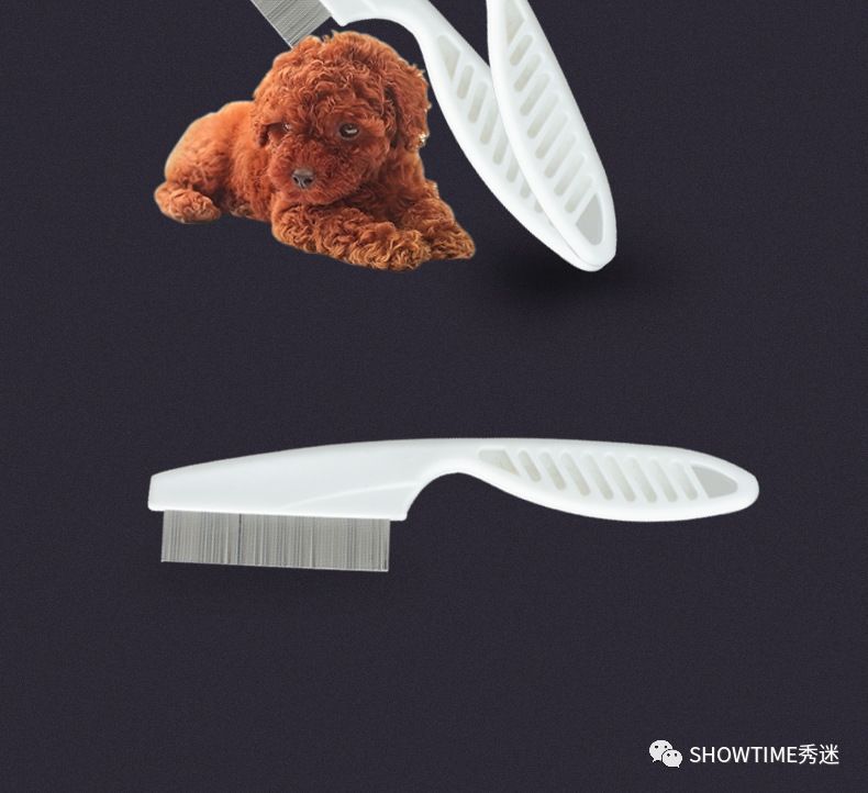 新手铲屎官养宠物该怎么办,怎么成为合格的养狗铲屎官