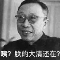 德国喜欢中国的小镇,德国小镇中国人