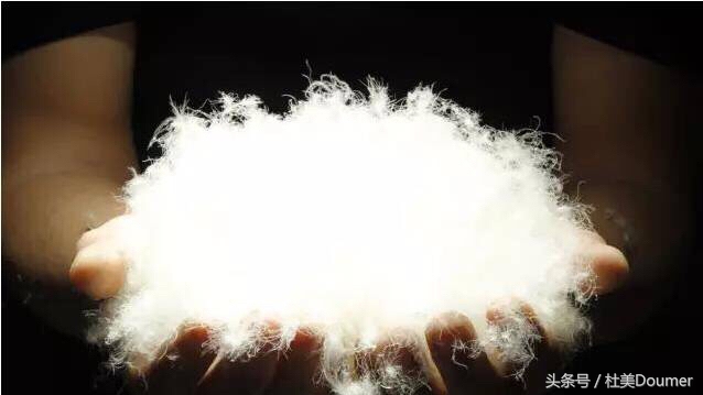 怎样选购优质的内增高鞋,怎样选购优质的榴莲