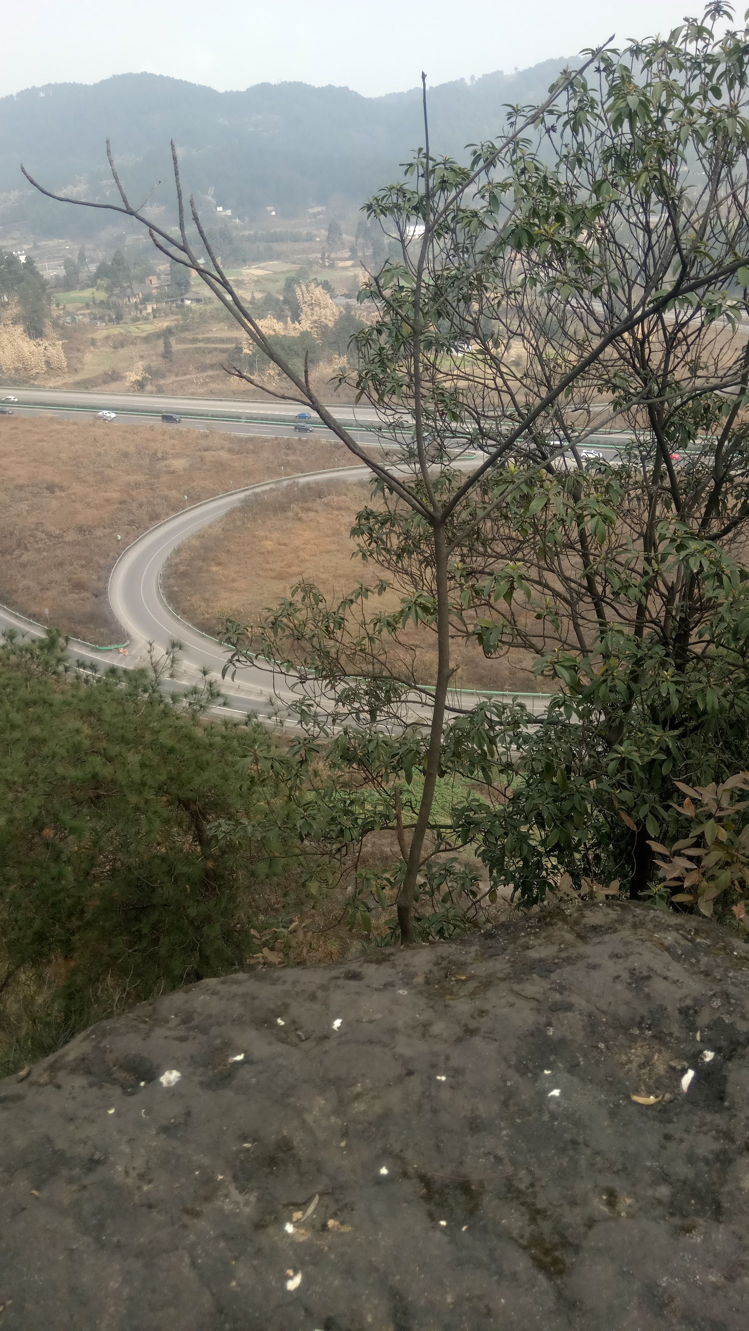 纯天然氧吧是锻炼的好地方,天然氧吧骑行好去处