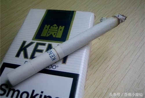 世界上最大的烟企,世界十大烟企