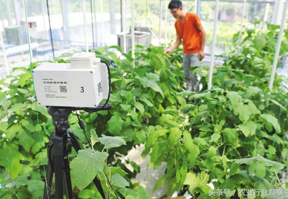 互联网行业都有哪些创业方向,农业互联网方面的创业该如何进行