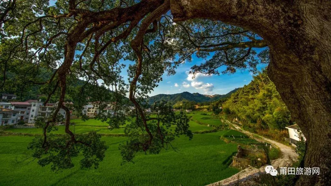 什么是莆田,什么是莆田高版本