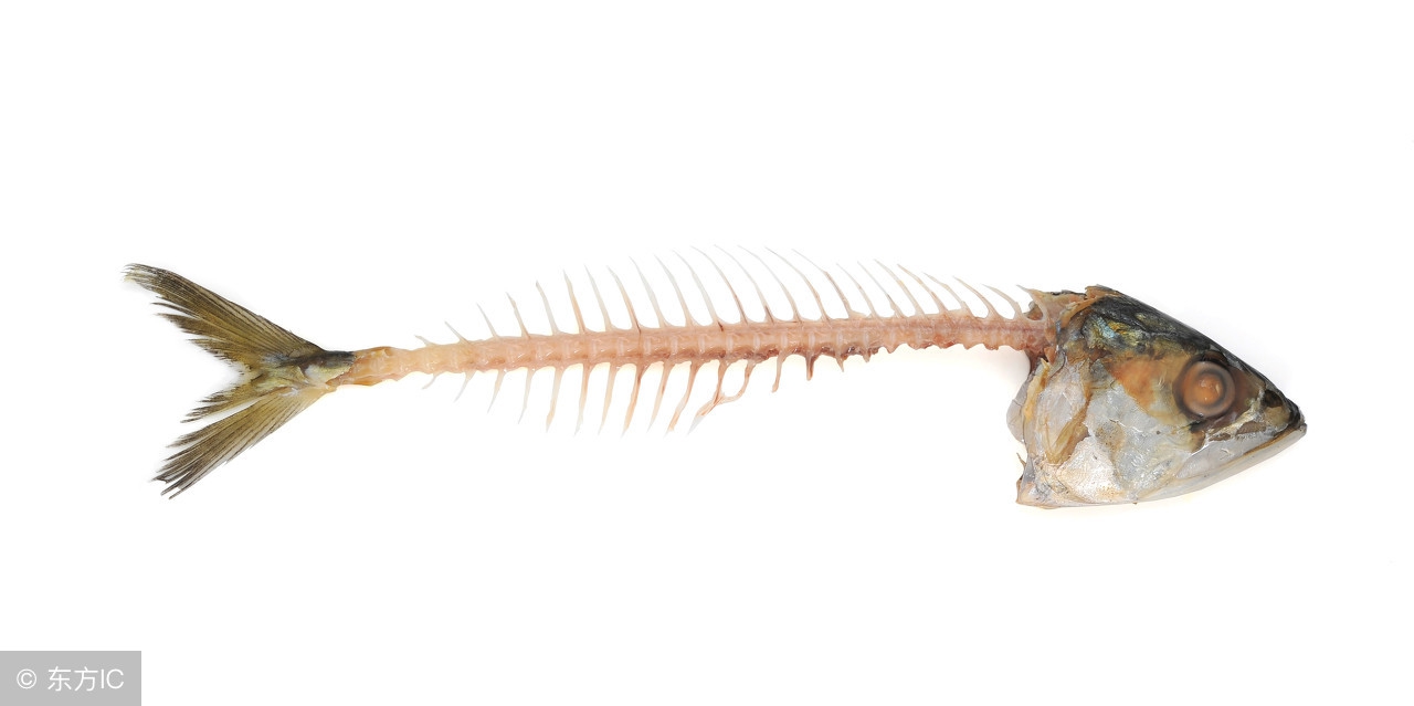 东营微文化完整版,东营微文化现状