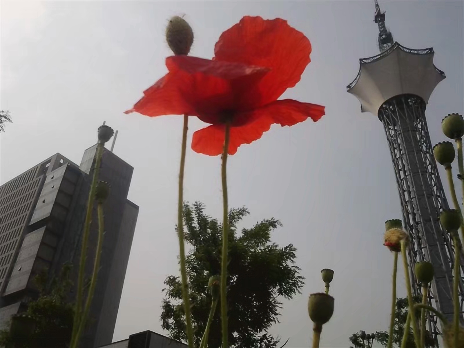 骑自行车环华旅行,骑单车长途旅行环中国一圈