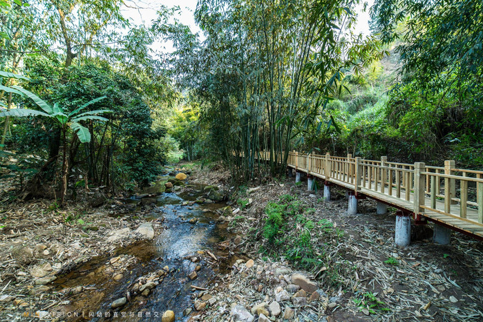 崇左自驾旅游景点有哪些地方,广西崇左沿途的风景