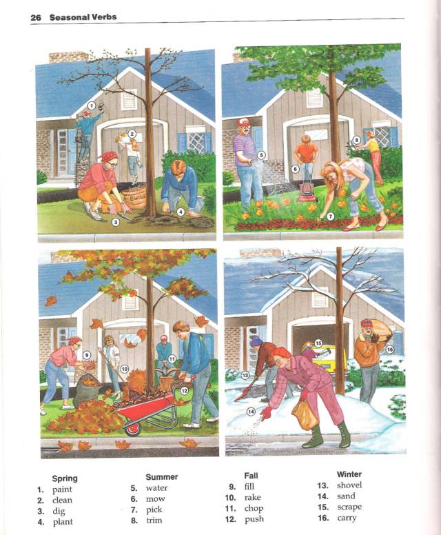 利用单词引导孩子学英语,如何用好词典笔学英语