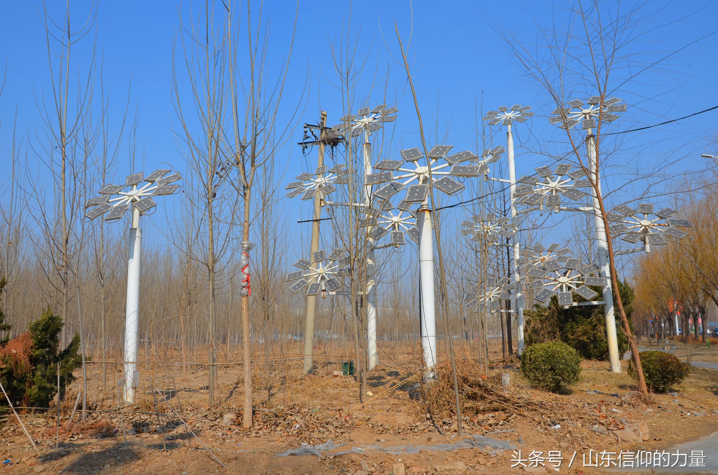 假期最后一天探访皇明集团总部所在的中国太阳谷