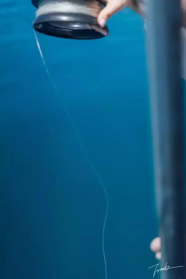 帕劳深度游出海,帕劳深潜体验