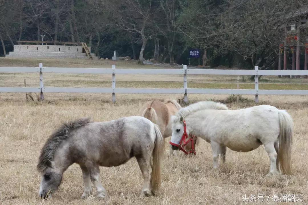 接招吧！开趴，其实还可以这Young过！