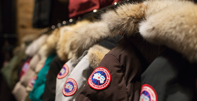 为什么这么多的加拿大鹅,加拿大鹅退货真实经历