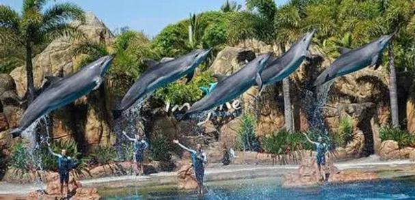 澳洲护照有什么待遇,澳洲对中国开放最新签证