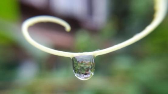 相机和手机拍照的效果区别在哪呢,相机与手机拍摄效果对比